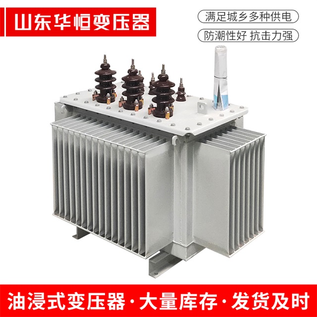 S13-10000/35肃宁肃宁肃宁油浸式变压器厂家